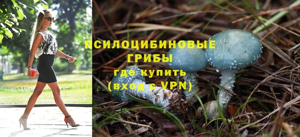 PSILOCYBIN Алексеевка