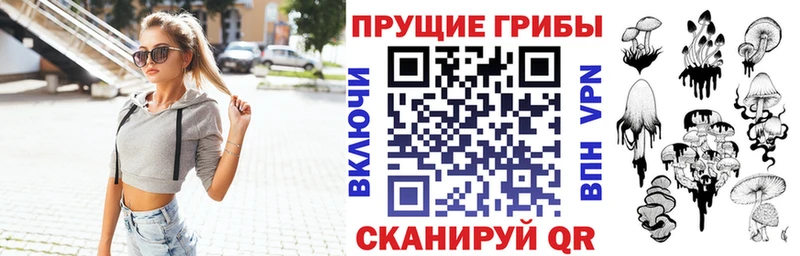 mega tor  Мичуринск  Псилоцибиновые грибы Psilocybe 