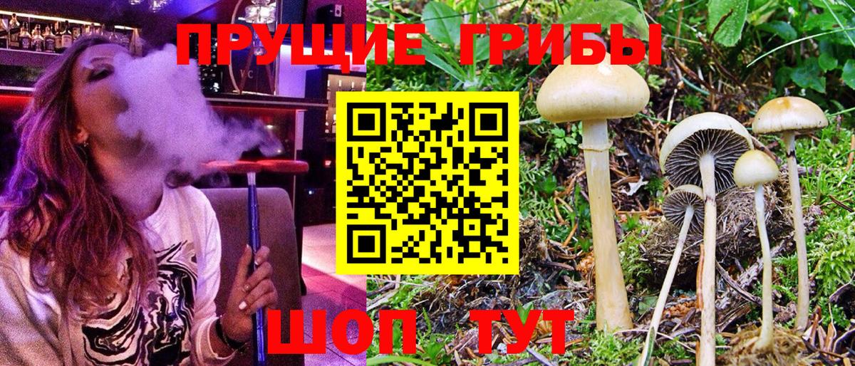 Мичуринск  Псилоцибиновые грибы Psilocybe  где купить наркоту  Вход с VPN 