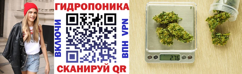 Конопля марихуана  shop клад  Мичуринск  кракен онион 