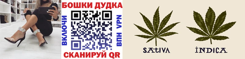 МАРИХУАНА план Мичуринск